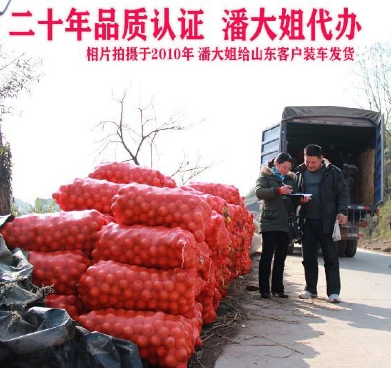 麻阳冰糖橙纯甜，一件代发，高端品控，麻阳产地发货。