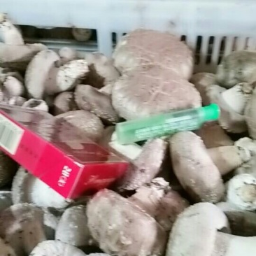 种植户自产自销