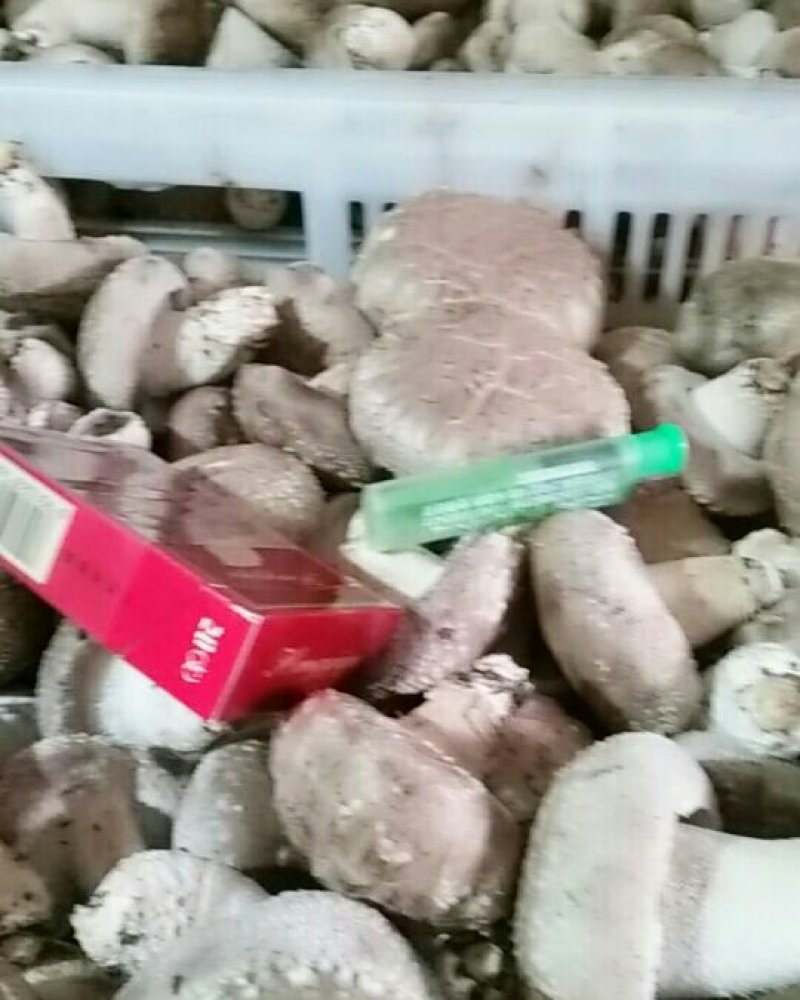 种植户自产自销