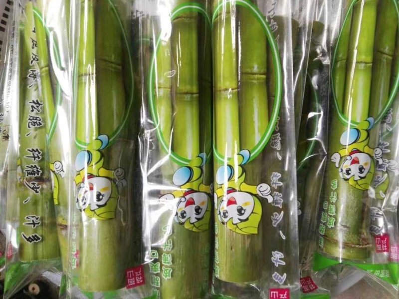 陶山青皮白玉甘蔗——手撕甘蔗