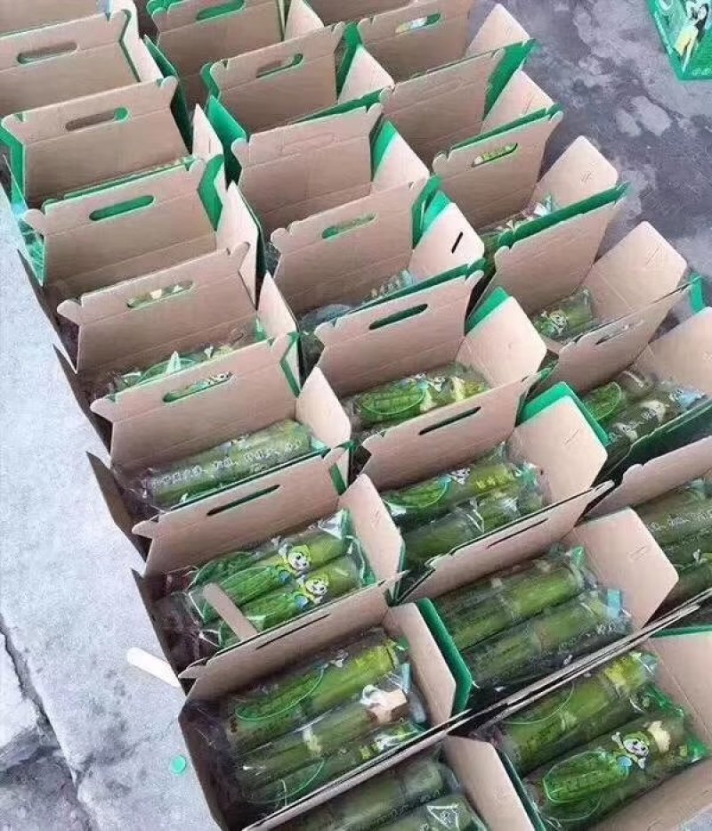 陶山青皮白玉甘蔗——手撕甘蔗