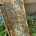 蜂蜜秦岭深山镇安农家百花蜜结晶蜜原蜜正品假一赔十