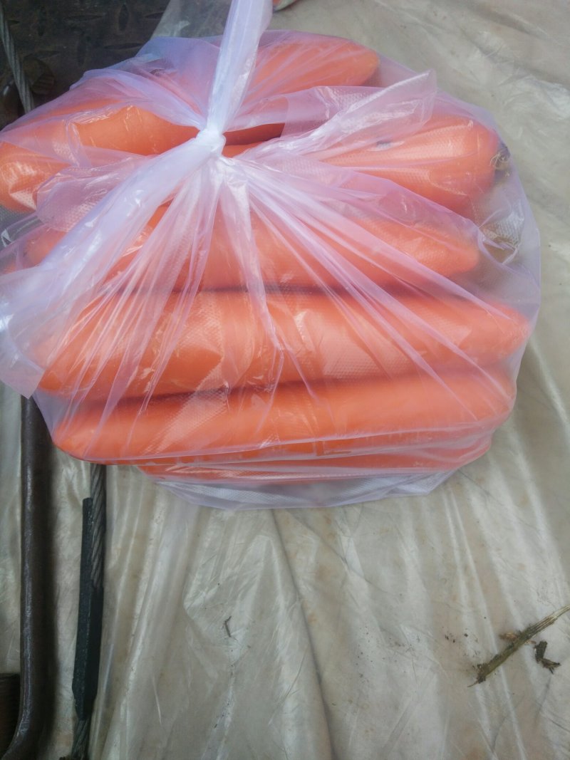 胡萝卜精品水洗胡萝卜土萝卜各种规格包装都支持加工厂养殖场