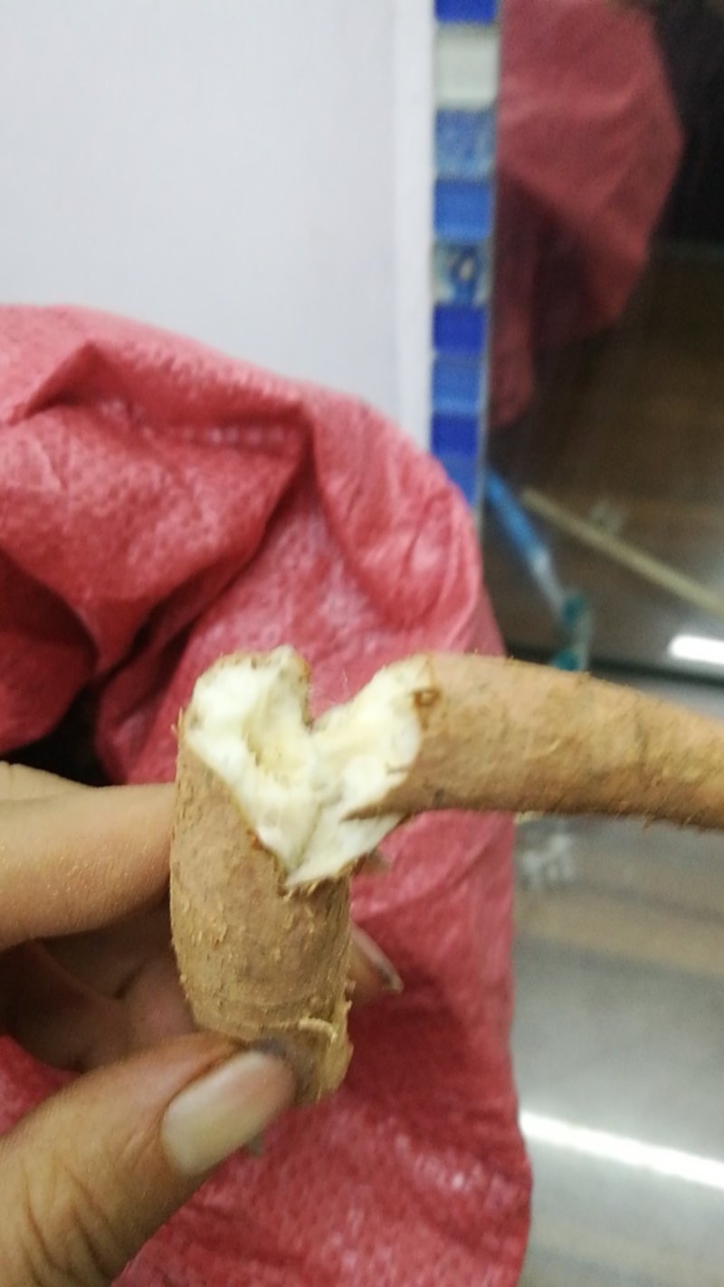 牛大力批发有货，全部跑量