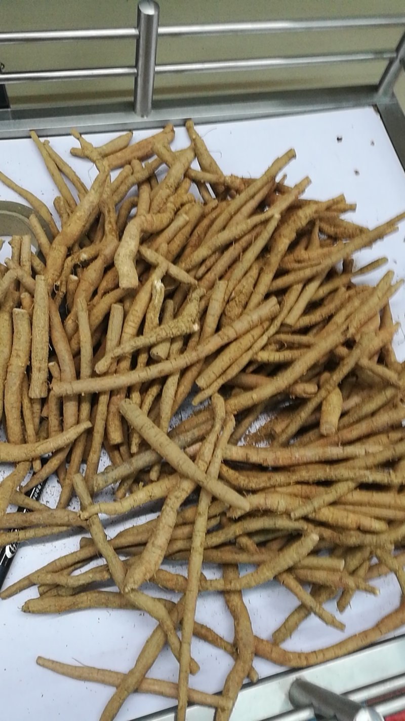 牛大力批发有货，全部跑量