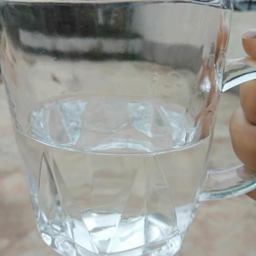 葡萄酒白酒