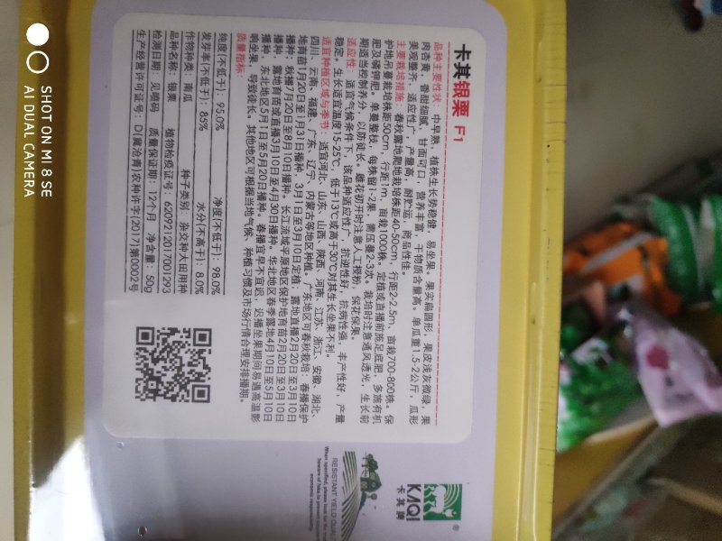 卡其银栗南瓜种子早熟果肉杏黄香甜细腻甘面可口营养丰富