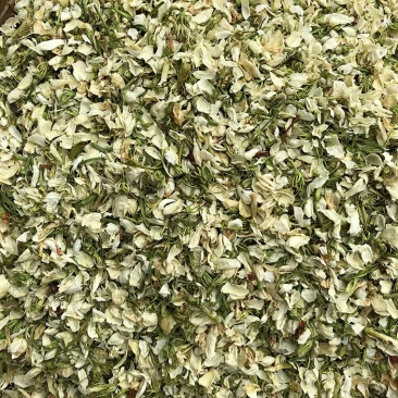 茉莉花产地直供支持线上交易各种规格接受订单