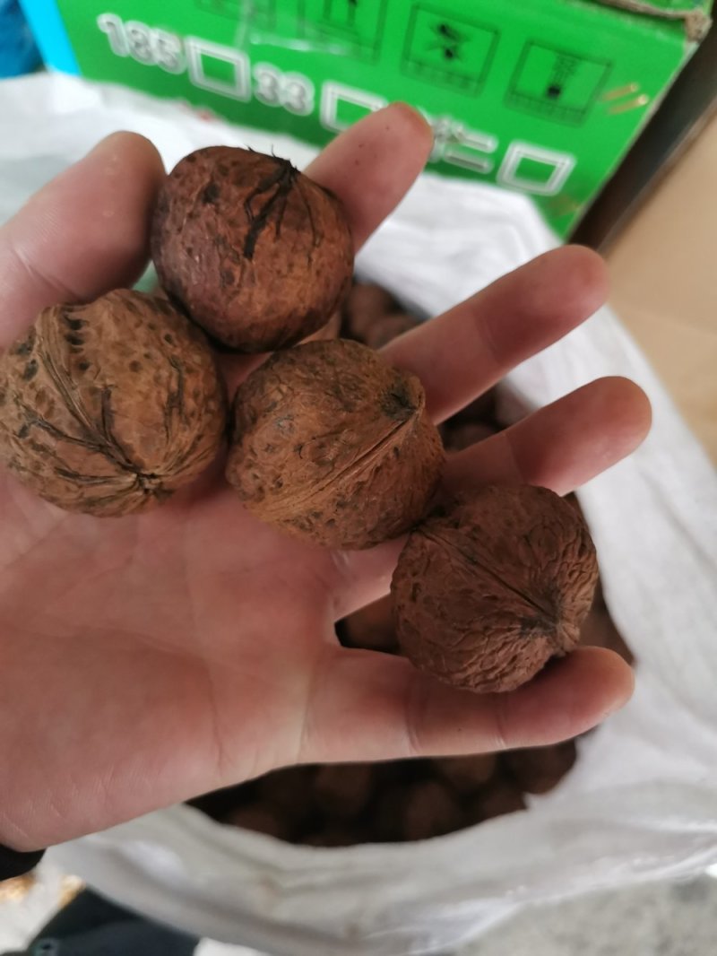 产地直销质量保证包退包换云南红桐核桃桐子核桃