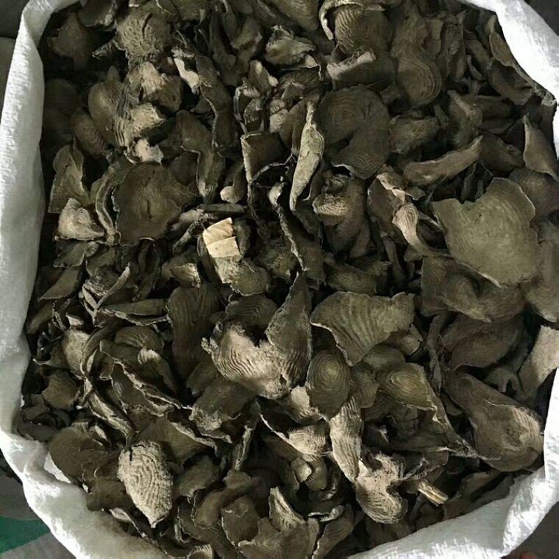 紫茉莉根各种规格可搭配多品种采购大货联系客服