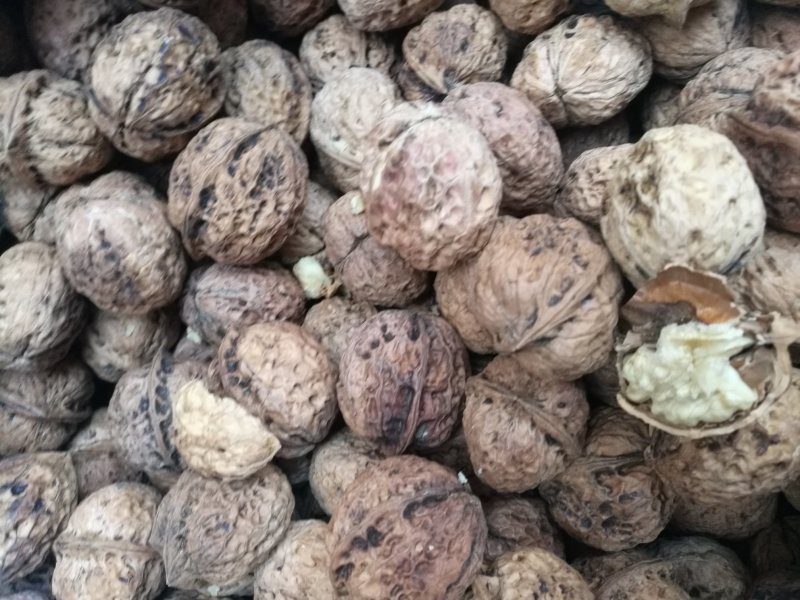 薄皮核桃