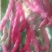 蔬菜