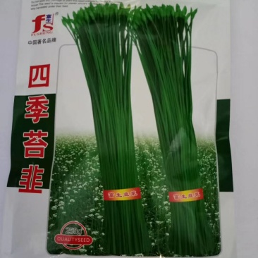 四季苔韭种子叶苔兼用以抽苔为主