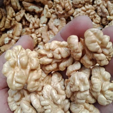 包邮，今年新上市核桃仁新品精品，量大优惠，原色，原味