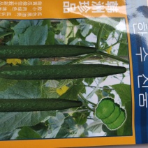 韩州珍品黄瓜种子。肉绿色，