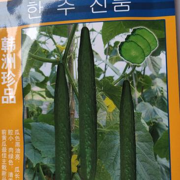 韩州珍品黄瓜种子。肉绿色，