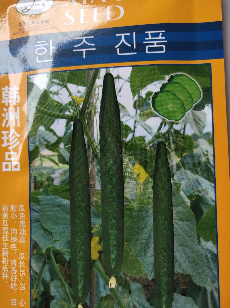 韩州珍品黄瓜种子。肉绿色，