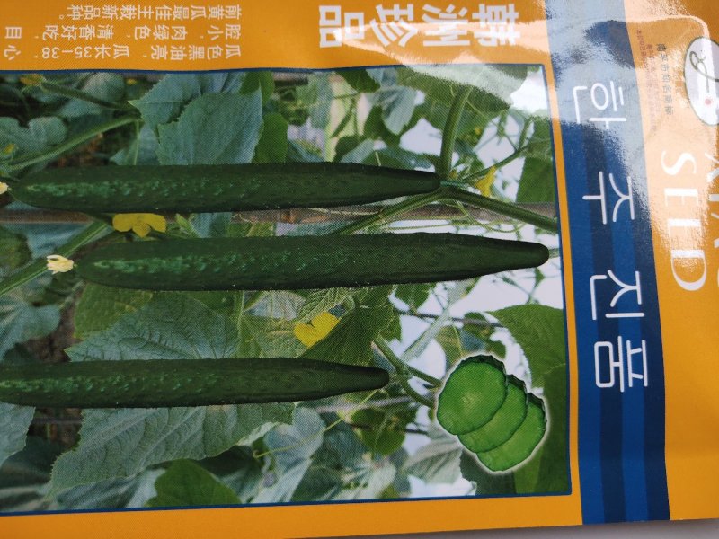 韩州珍品黄瓜种子。肉绿色，