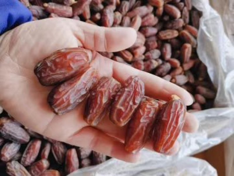【有好货】伊朗进口特级大椰枣（非蜜馅）肉厚口感棒