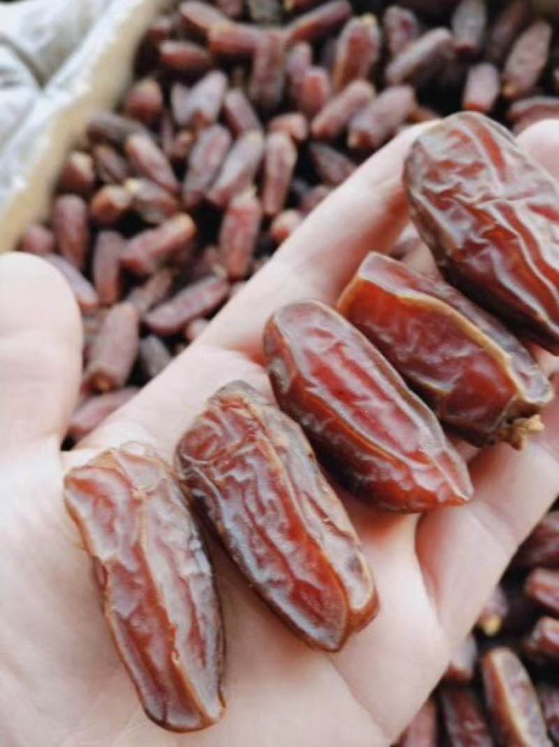 【有好货】伊朗进口特级大椰枣（非蜜馅）肉厚口感棒