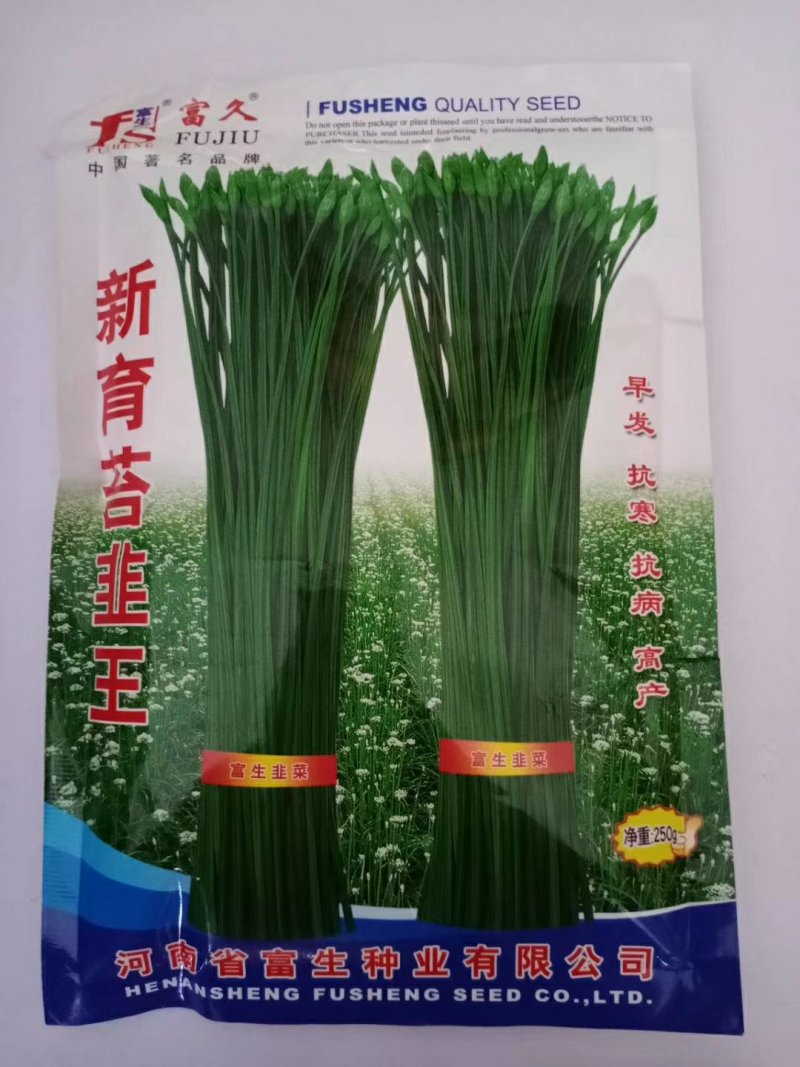 新育苔韭王种子耐寒抗病生长快产量高