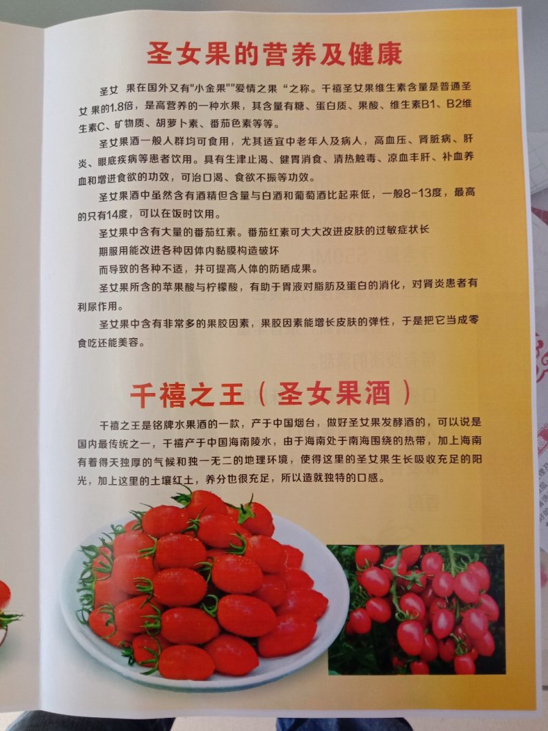 圣女果