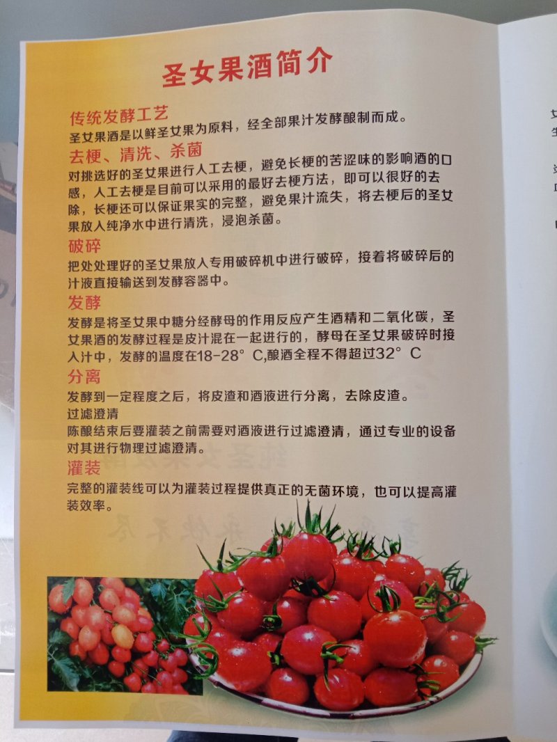 圣女果