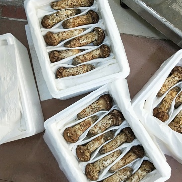 食用菌鲜货