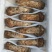 食用菌鲜货