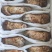 食用菌鲜货