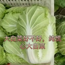 【精品推荐】山东黄心白菜货源充足，质量保证量大从优