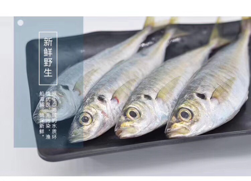 巴浪鱼灯光巴浪鱼经济实惠