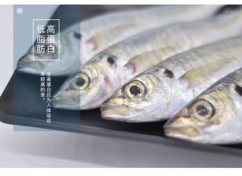巴浪鱼灯光巴浪鱼经济实惠