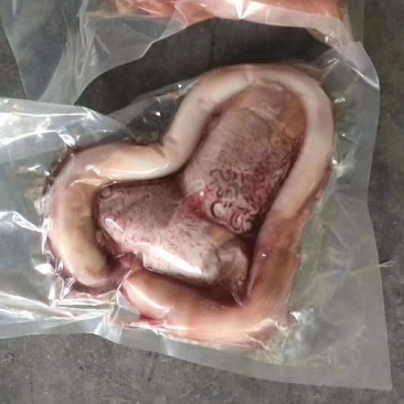 国产纯干精品牛鞭宝物美价国产牛鞭宝，国产牛鞭宝，