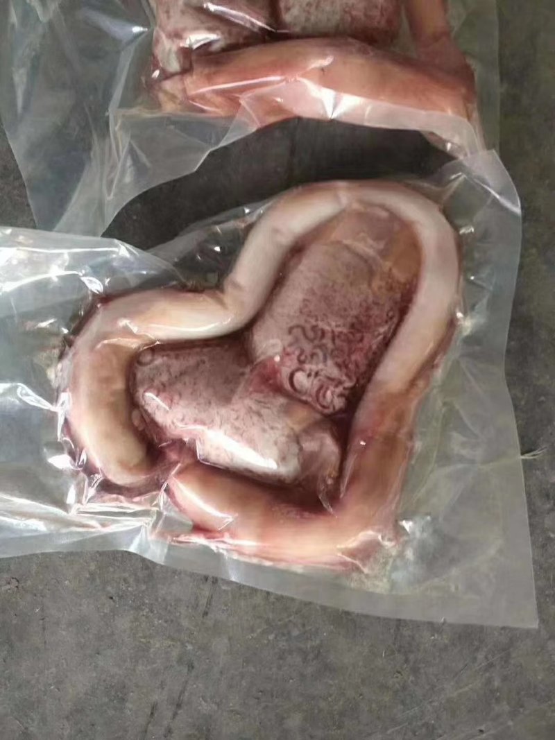 国产纯干精品牛鞭宝物美价国产牛鞭宝，国产牛鞭宝，