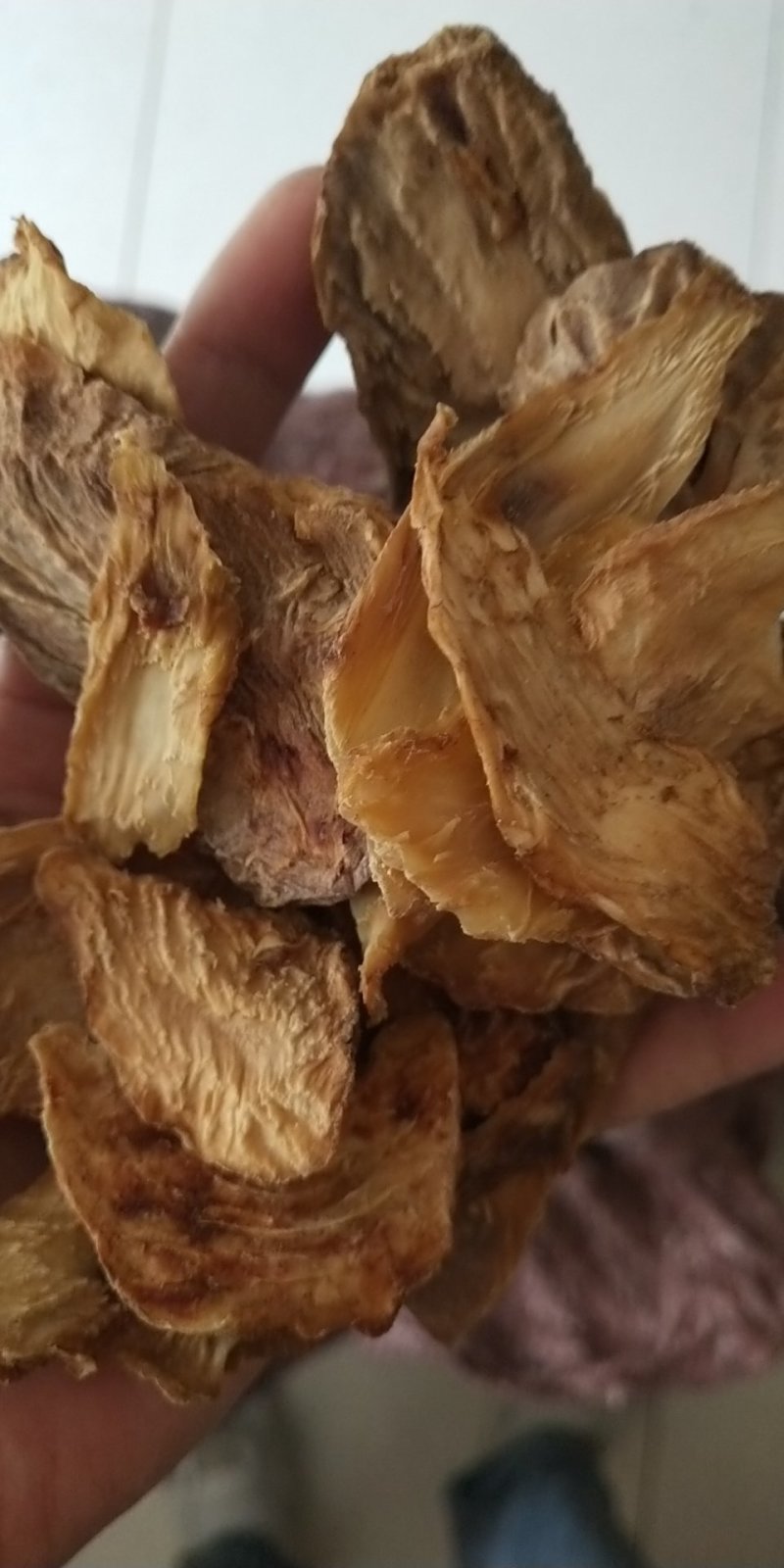 肉苁蓉鲜干片，冬季去皮切片100克