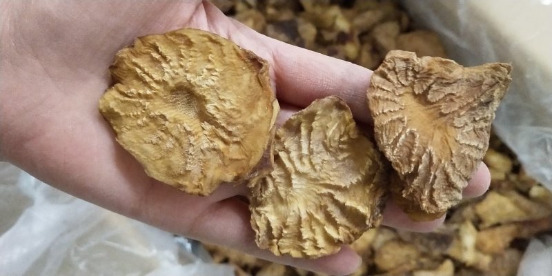 肉苁蓉鲜干片，冬季去皮切片100克