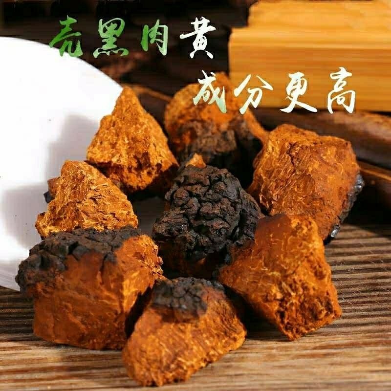 俄罗斯桦树茸野生白桦茸茶桦树泪滋补养