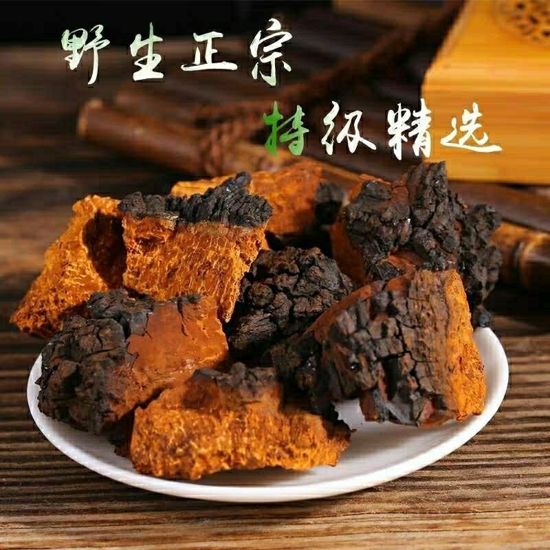 俄罗斯桦树茸野生白桦茸茶桦树泪滋补养
