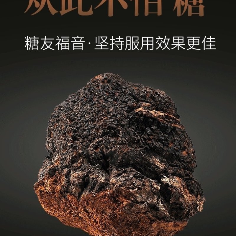 俄罗斯桦树茸野生白桦茸茶桦树泪滋补养
