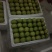 台湾大青枣。甜脆露天货，。。。。。。。。。