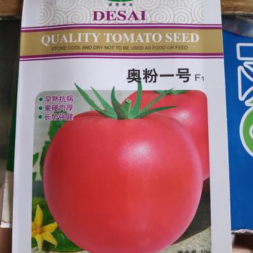 奥粉一号番茄种子无限生长型耐温耐高温