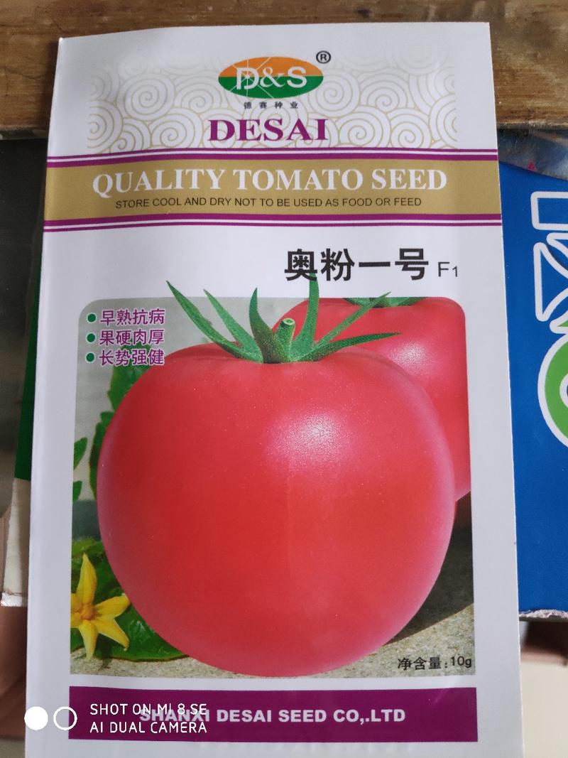 奥粉一号番茄种子无限生长型耐温耐高温