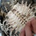 鳖甲制鳖甲醋鳖甲鳖下甲规格齐全质量保证……