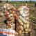 【精品】河南通许v7：希森，土豆大量上市品种齐全欢迎采购