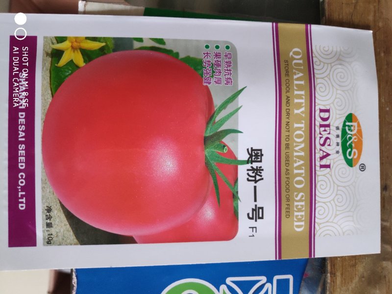 奥粉一号粉果番茄种子
