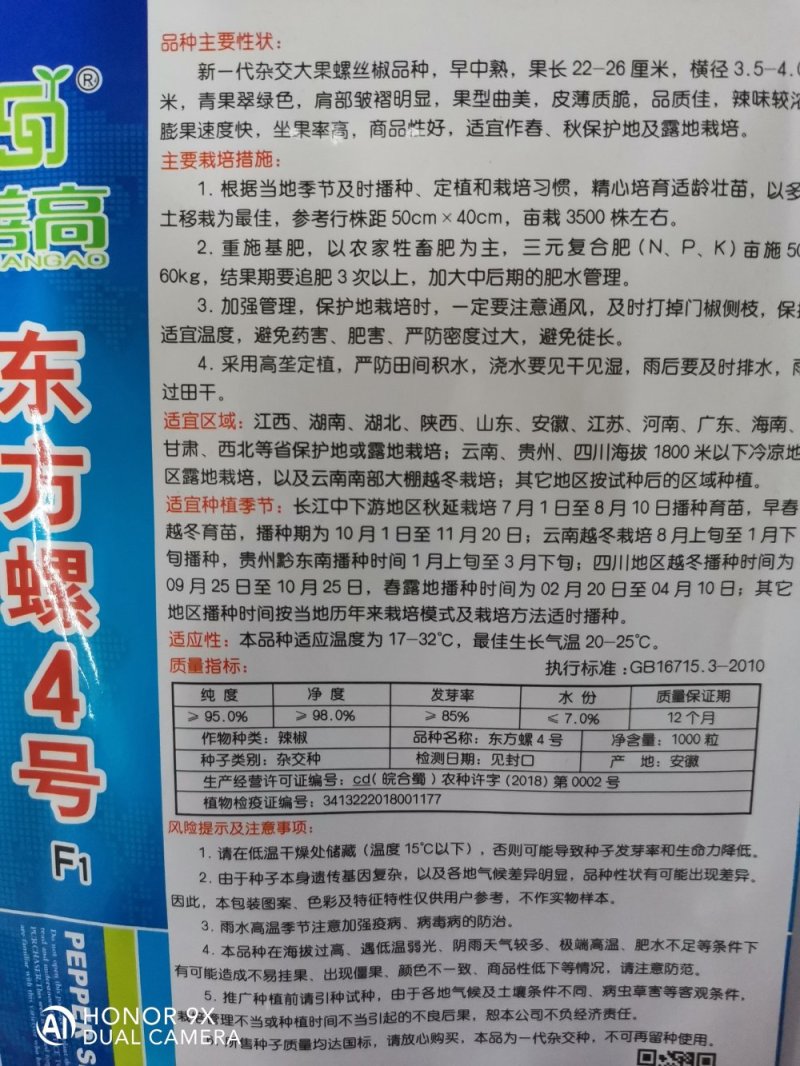 【东方螺4号】杂交螺丝椒种子大果型皮薄大田基地用辣椒种子