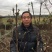 玉兰基地供应白玉兰，紫玉兰，红玉兰1—25公分