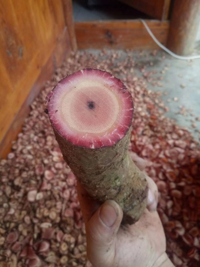 纯野生药材