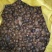 油茶籽山茶油茶子茶果油茶果2021霜降籽大量批发